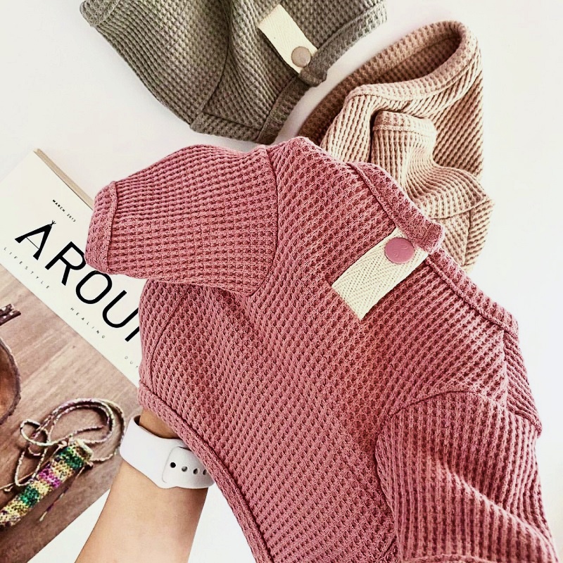 Letnia koszulka dla zwierząt,  – Summer Clothing In French recenzja i cena